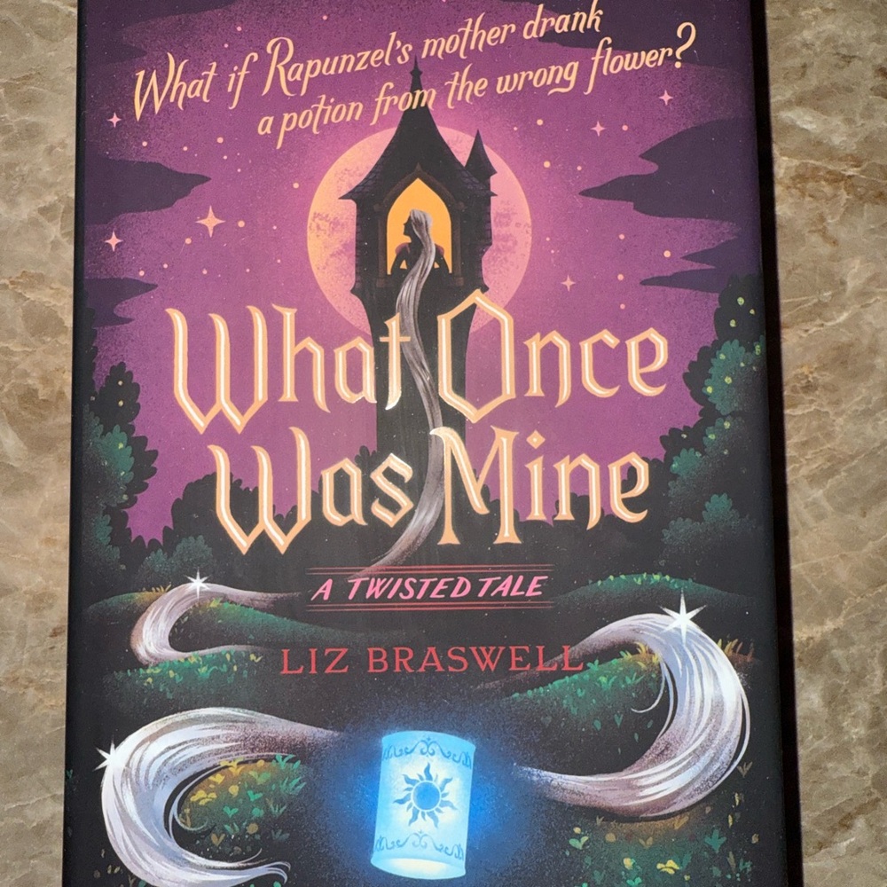 What Once Was Mine Book by Liz Braswell A Twisted Tale